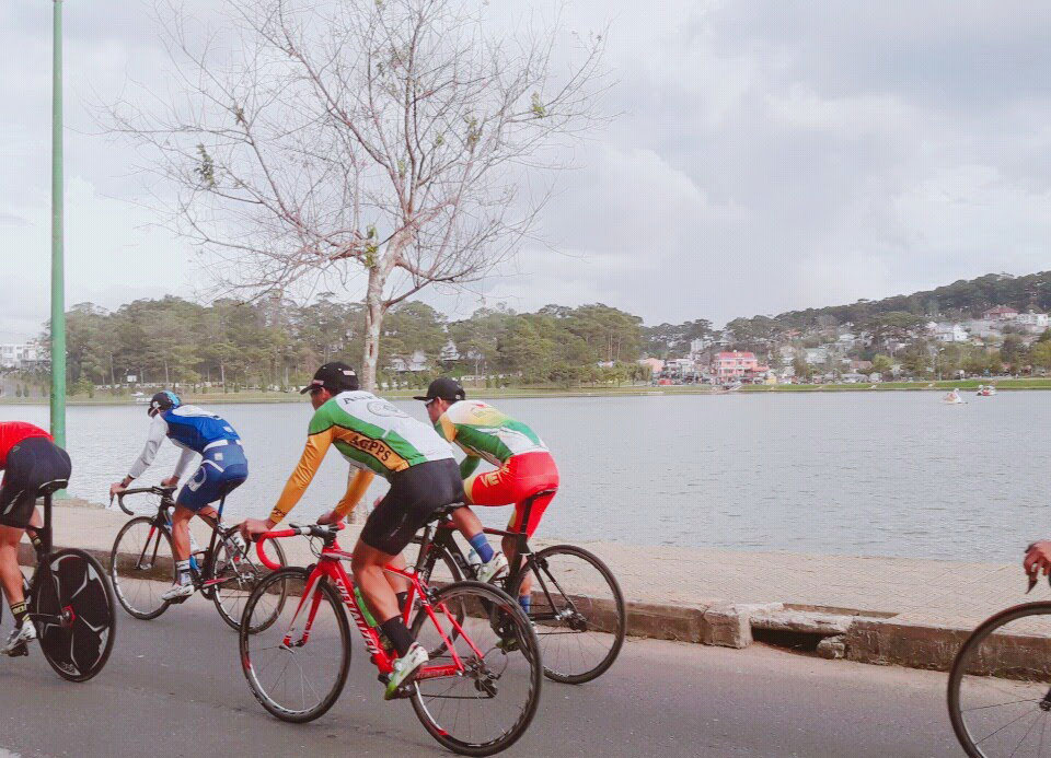 Một cây hoa Anh đào bên hồ Xuân Hương đã nở