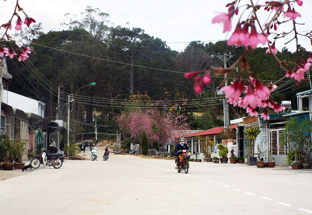 Thay đổi diện mạo từ sự đồng thuận
