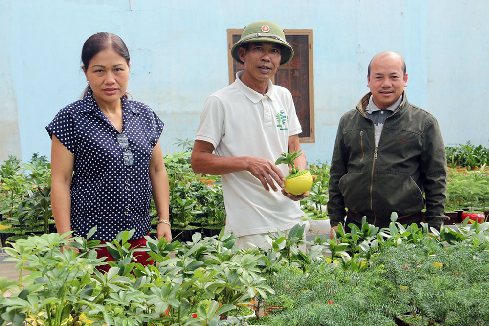 Những thú chơi sinh vật cảnh