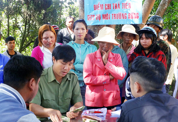 "Hỏa tốc" yêu cầu chi trả tiền dịch vụ môi trường rừng trước tết