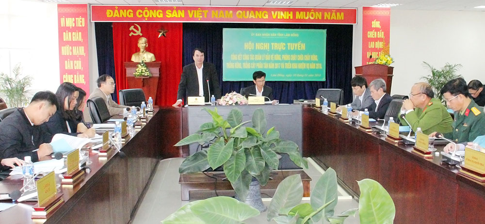Quản lý bảo vệ rừng đang là cao điểm