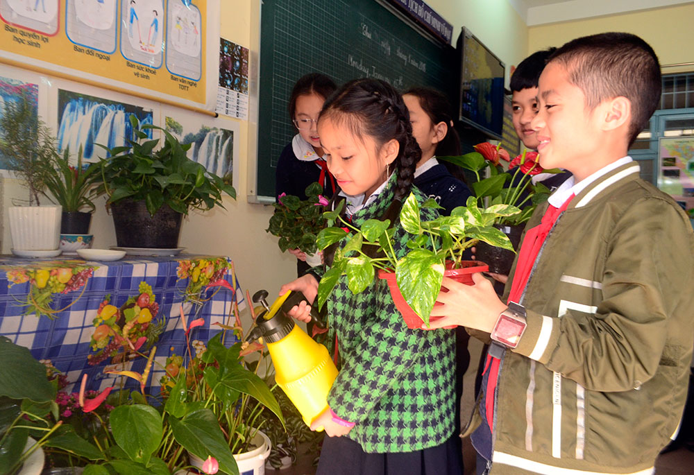 Học sinh Trường Tiểu học Đoàn Thị Điểm chăm sóc cây và hoa để không gian xanh của trường thêm sạch, đẹp. Ảnh: T.H