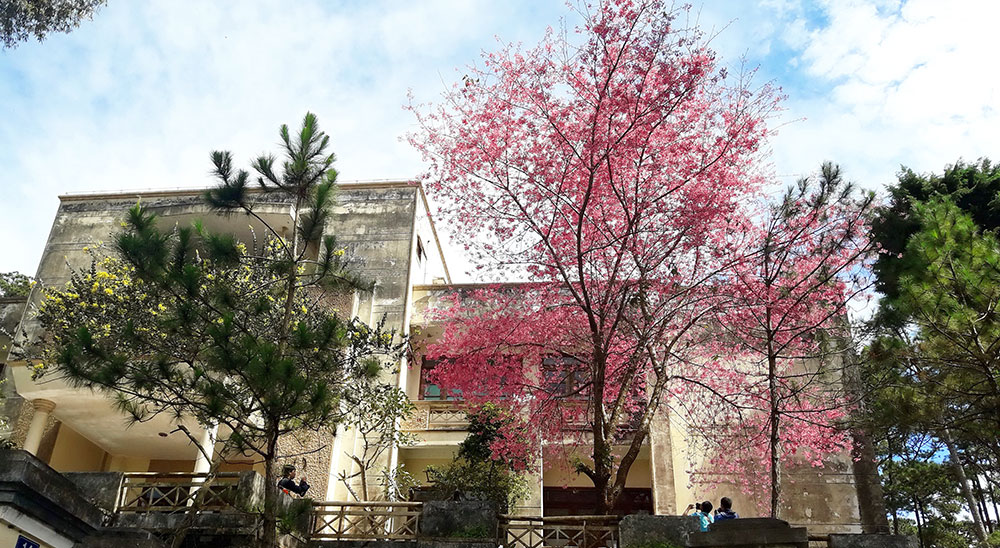 Phúc lợi từ hoa