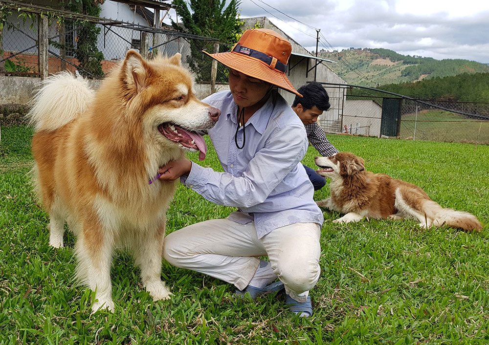 Làm đẹp cho cún cưng. Ảnh: P.M