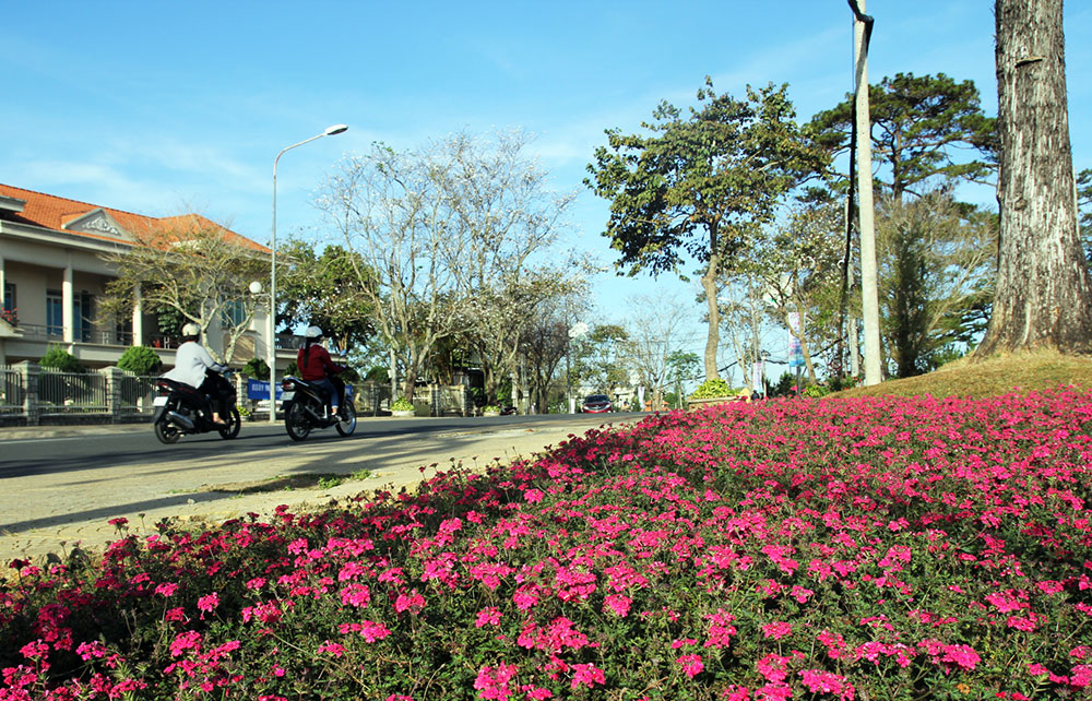 Trên trục di sản Đông - Tây