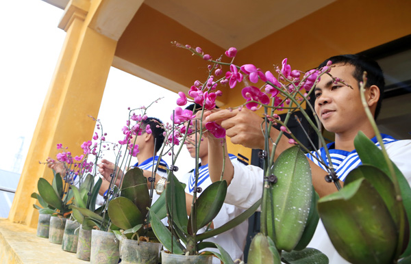 Cùng với cây quất, hoa mai vàng, hoa lan giúp bộ đội tô điểm căn phòng, dãy nhà thêm nét xuân khi tết đến