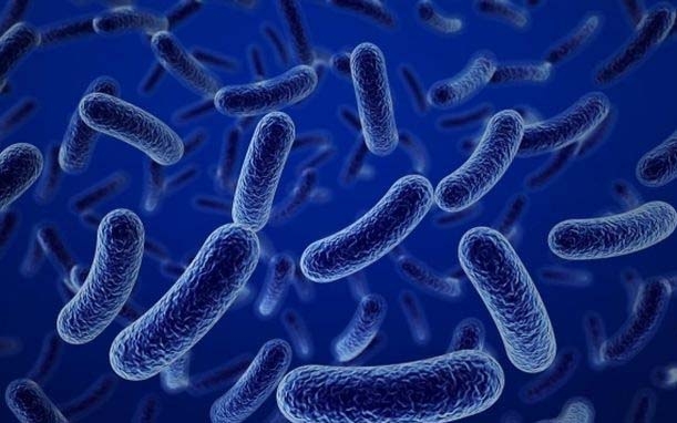 Vì sao người Việt Nam tin dùng men tiêu hóa Enterogermina?