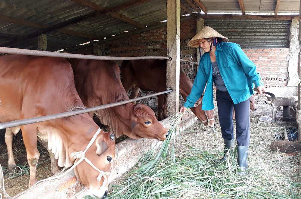 Người cán bộ hội tận tâm với phong trào ở vùng sâu Bảo Lâm