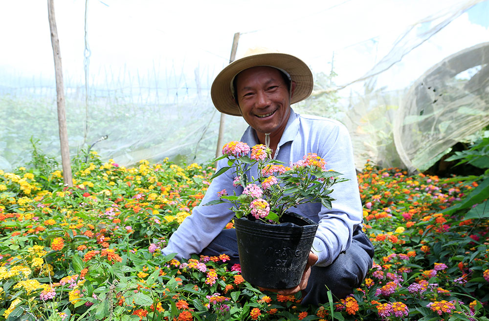 Do đang là mùa nắng nóng nên một số loại hoa đã chết héo khá nhiều nên người dân thôn Lạc Thạnh bảo nhau người bỏ ống nước xịt tự động, người góp đầu bơm nước, người góp giống hoa… để trồng mới một số vị trí con đường hoa. Kỳ công hơn, người dân trong thôn đã cử người xuống tận TP Hồ Chí Minh mua 200 cây hoa ngũ sắc về trồng trong tuần tới