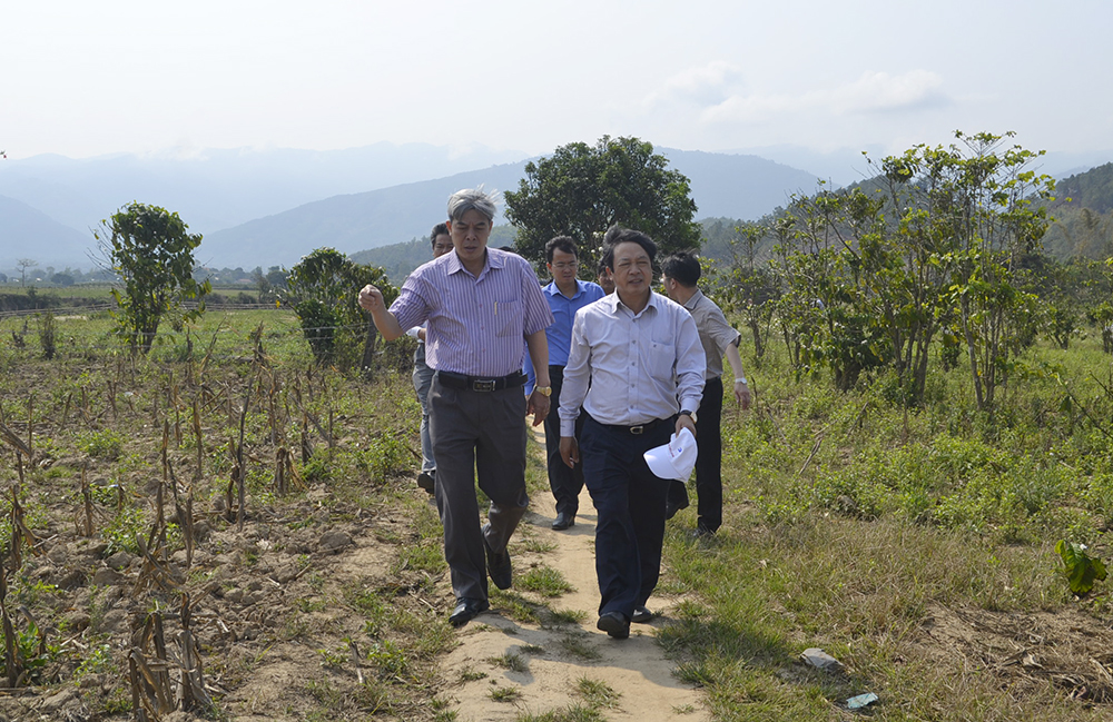Thăm cánh đồng ven sông K rông Nô, xã Đạ M’Rông