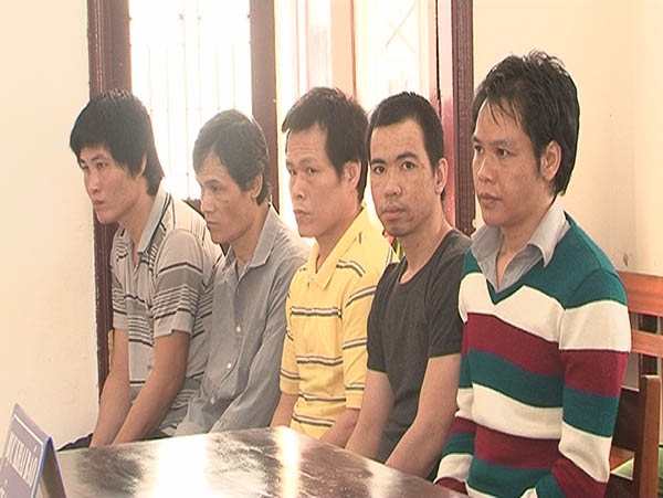 105 tháng tù cho 5 đối tượng phá rừng