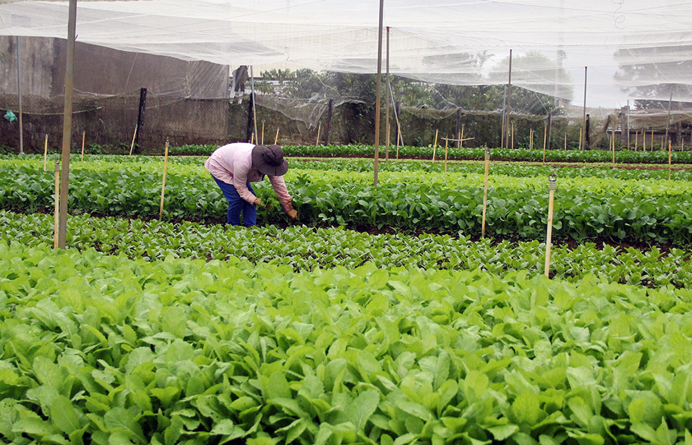 Phụ nữ khởi nghiệp