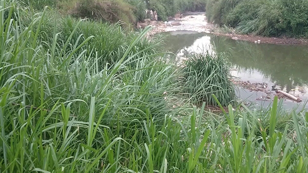 Hiện trường vụ tai tai nạn