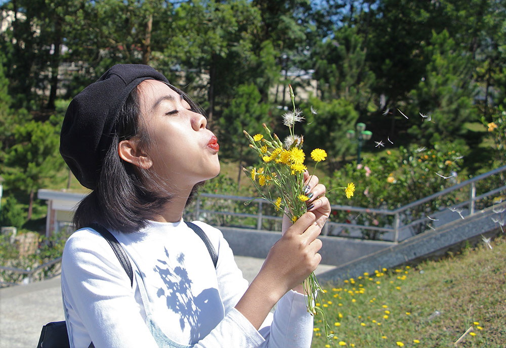 Loài hoa nhỏ bé được du khách yêu thích