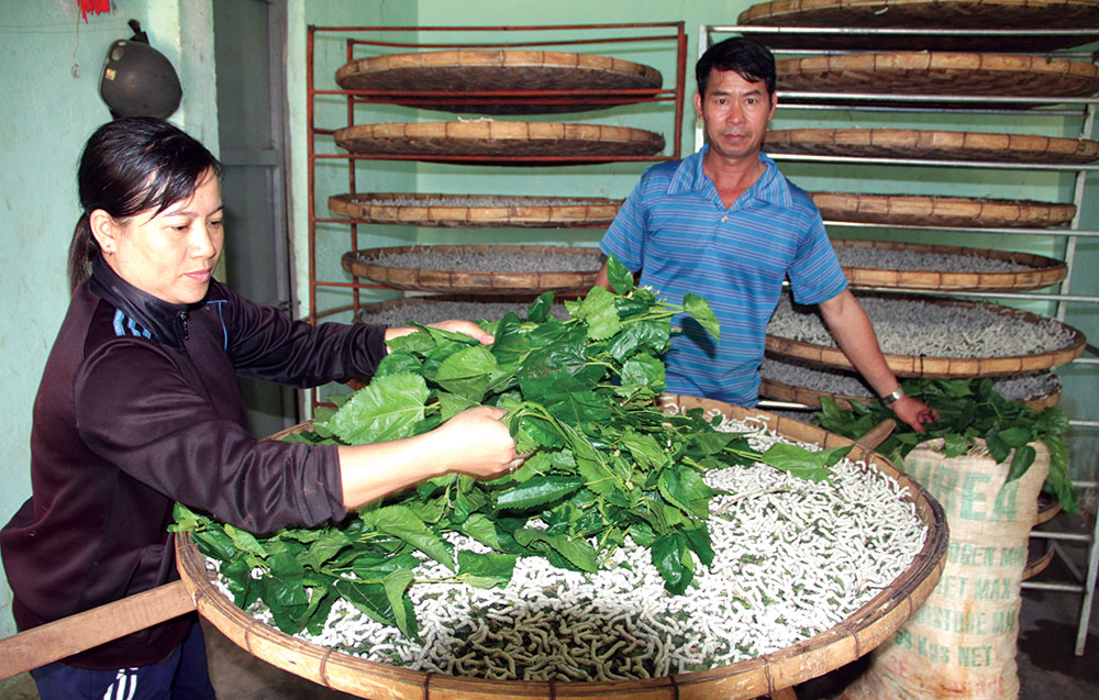 Trở về tuyến đường xưa