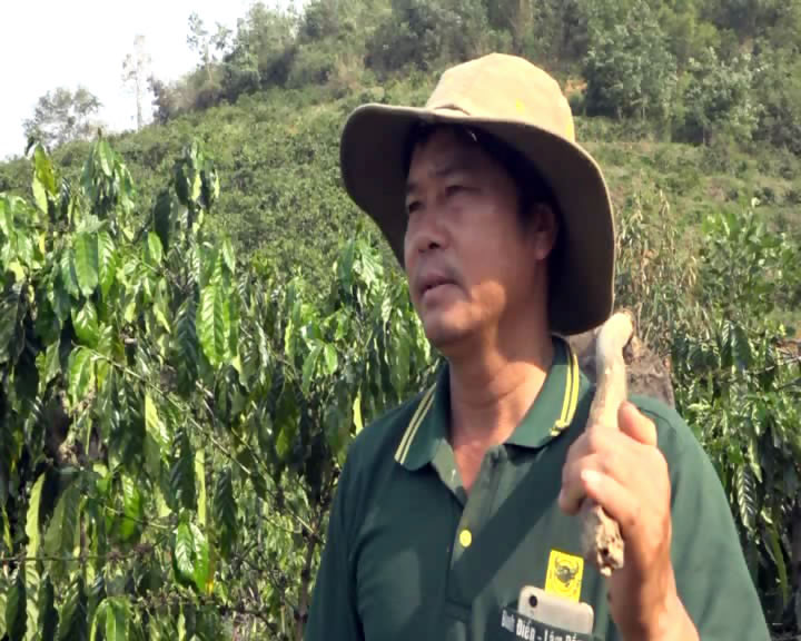 Người cựu chiến binh tích cực lao động, sáng tạo