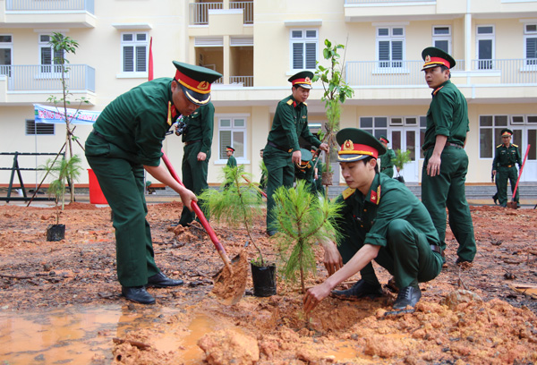 Học viện Lục quân trồng gần 1.000 cây xanh