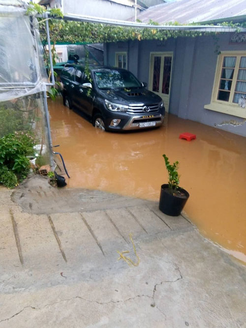 Đà Lạt: Mưa lớn gây thiệt hại nhiều diện tích rau hoa