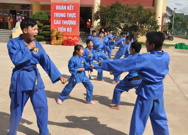 Biểu diễn võ thuật