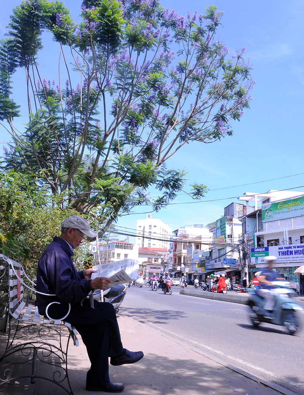 Miền gió tím