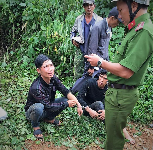 Bắt quả tang hai thanh niên hái trộm bơ