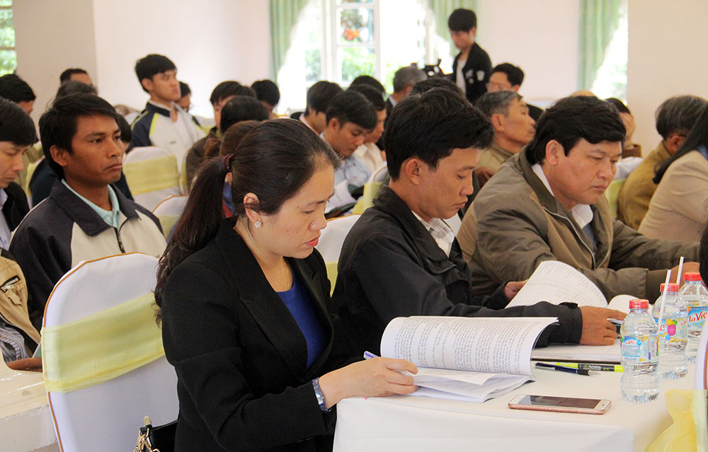 Trồng rừng và phát triển rừng