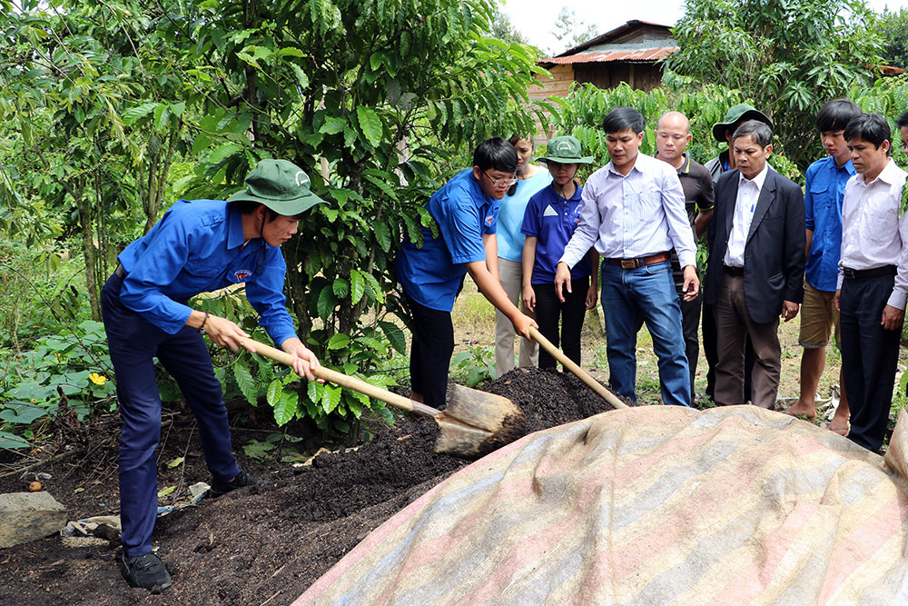 Sôi nổi phong trào sinh viên