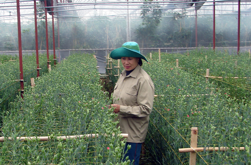 Xây dựng nông thôn mới kiểu mẫu chất lượng cao