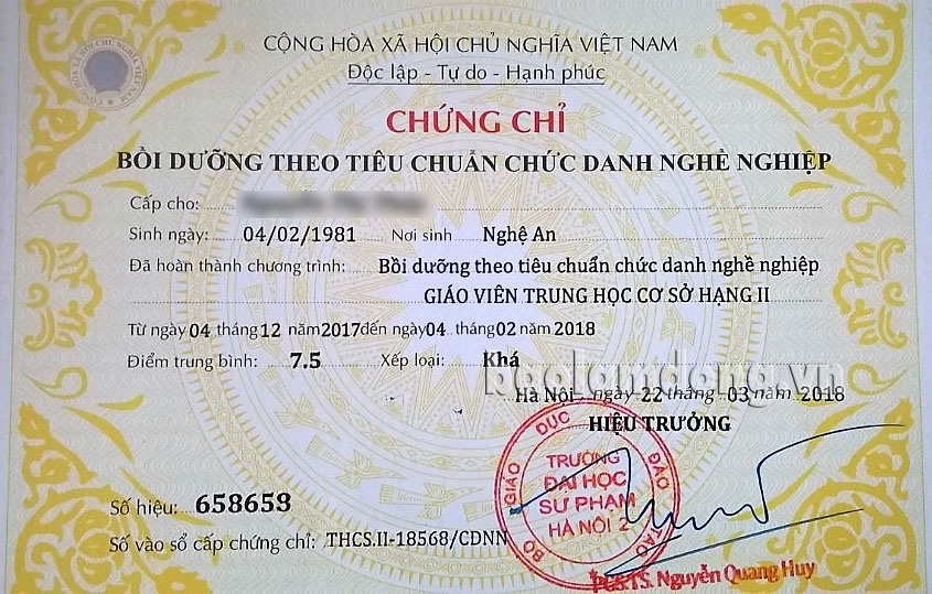 Chứng chỉ TCCDNN do Trung tâm Việt Mỹ liên kết với Đại học Sư phạm Hà Nội 2 cấp cho học viên. Ảnh: K.P