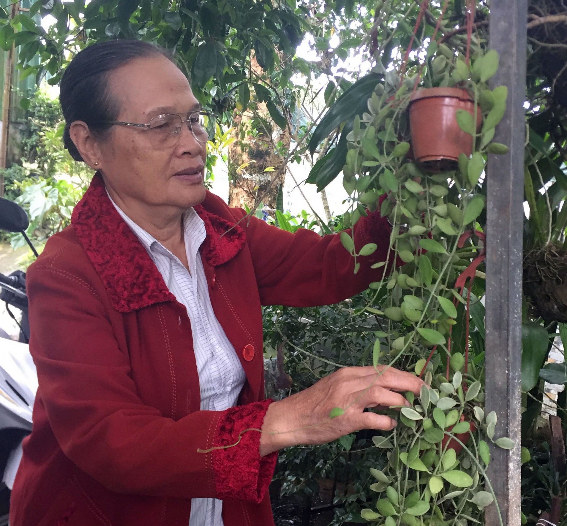 Bà Lưu Thị Nhữ