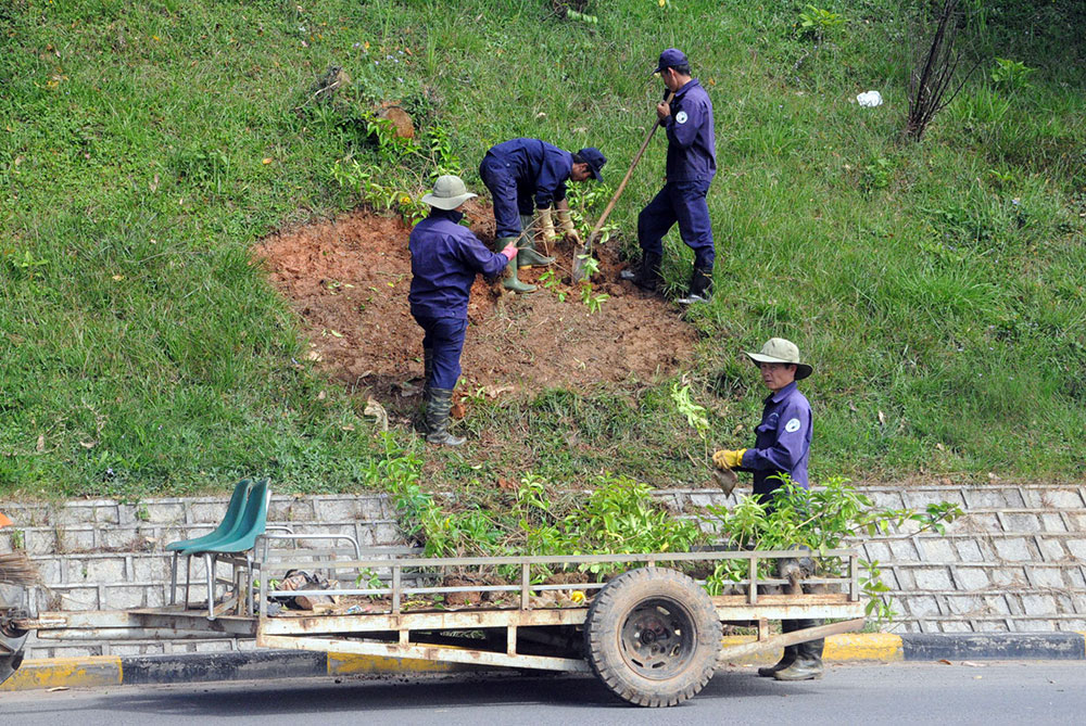 Trồng hoa trên các bờ ta luy. Ảnh: G.K
