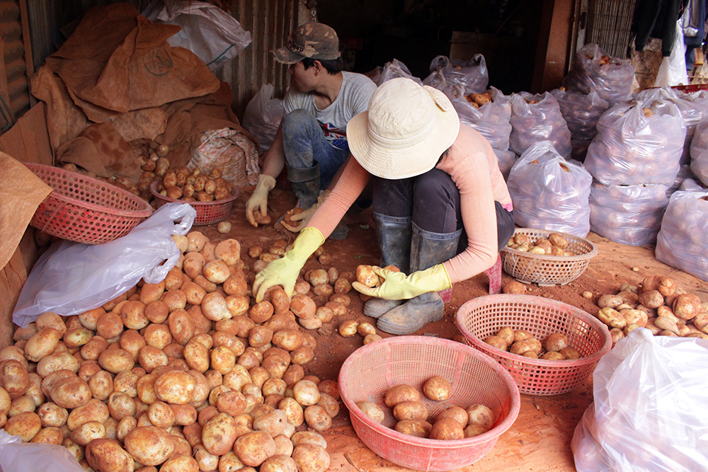 Cấm đưa nông sản Trung Quốc vào chợ nông sản Đà Lạt