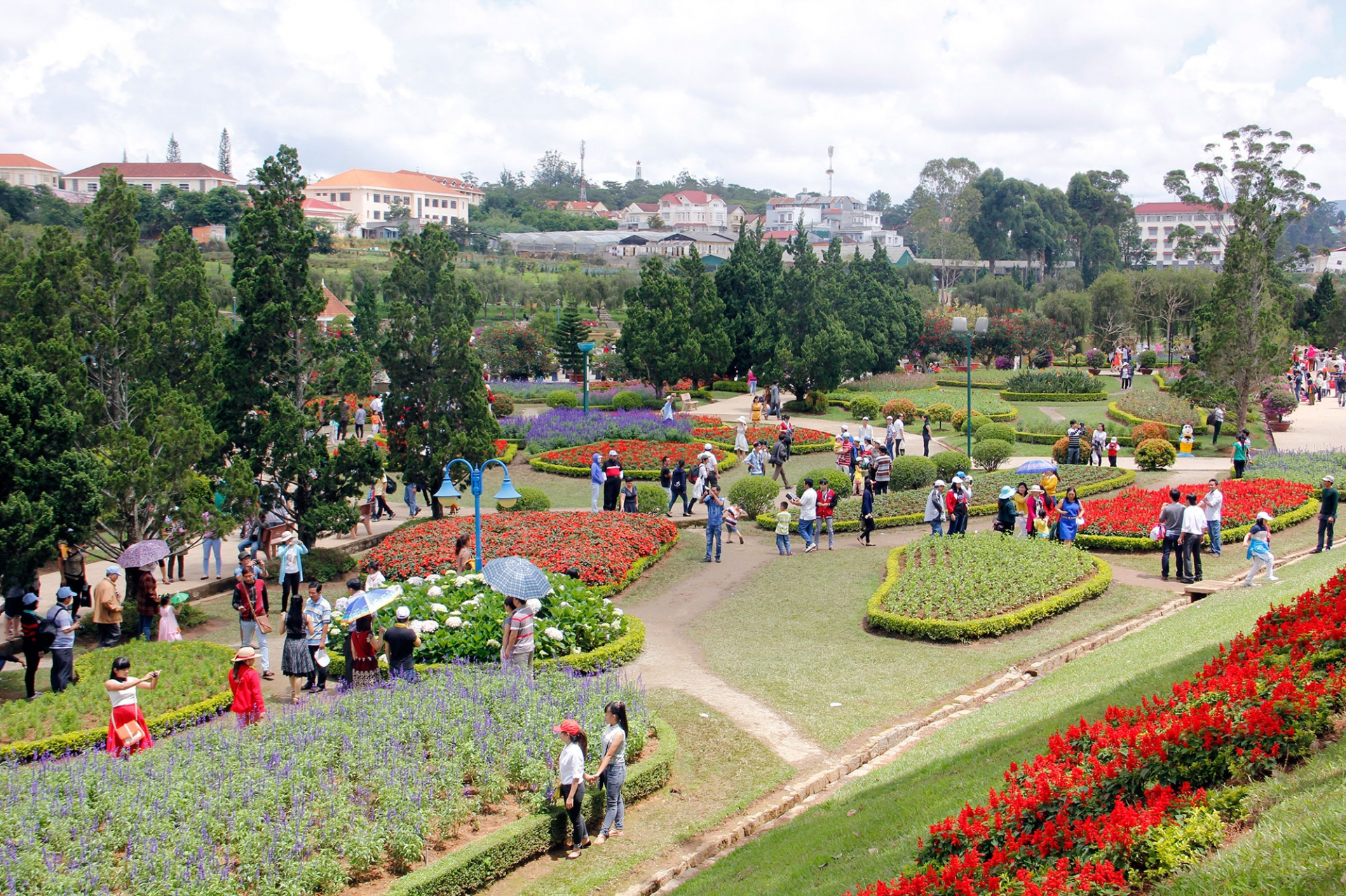 Con đường xanh gập ghềnh (kỳ II)