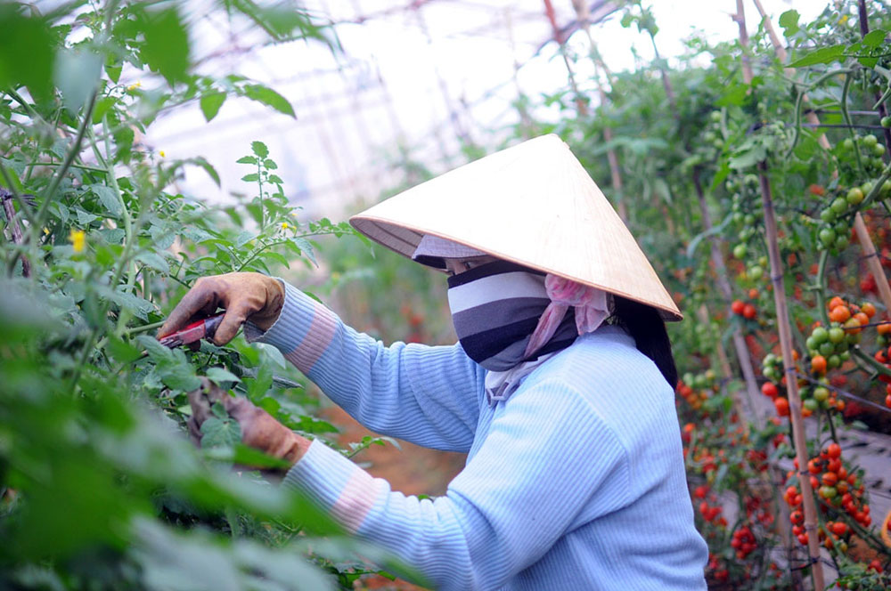 Một vùng ngoại ô Ðà Lạt đẹp và yên bình