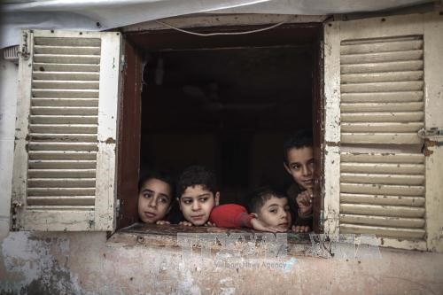 Cơ quan tị nạn Palestine được cam kết viện trợ hàng trăm triệu USD