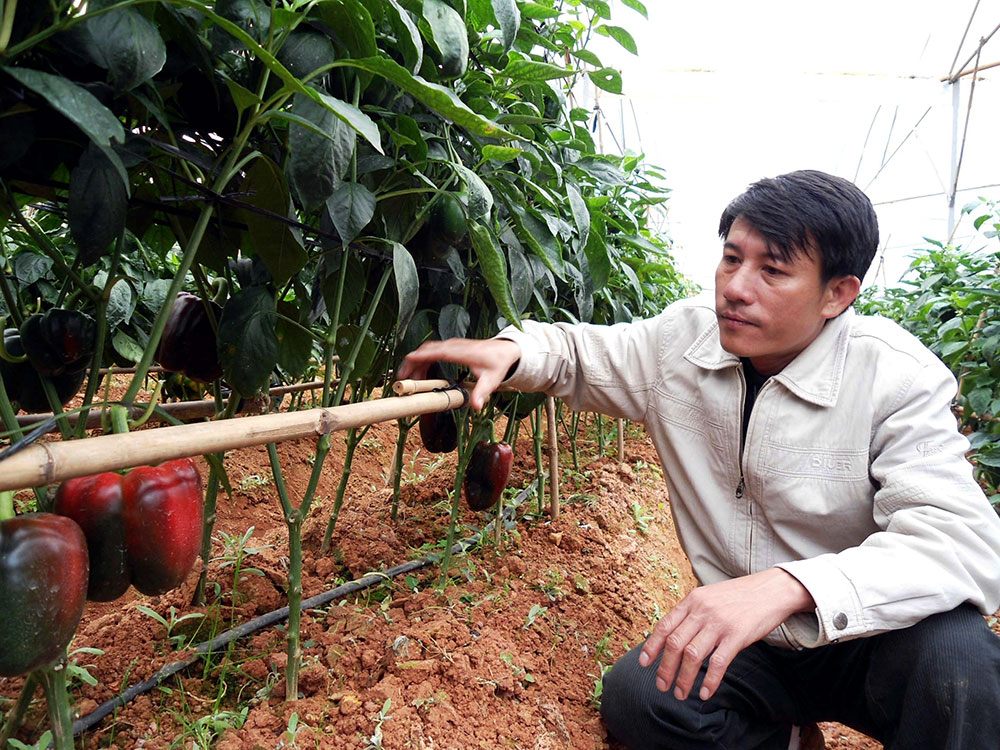 Nông dân xuất sắc - hành trình 27 năm