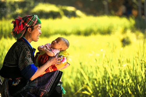 Mẹ ta đi giữa tháng mười...