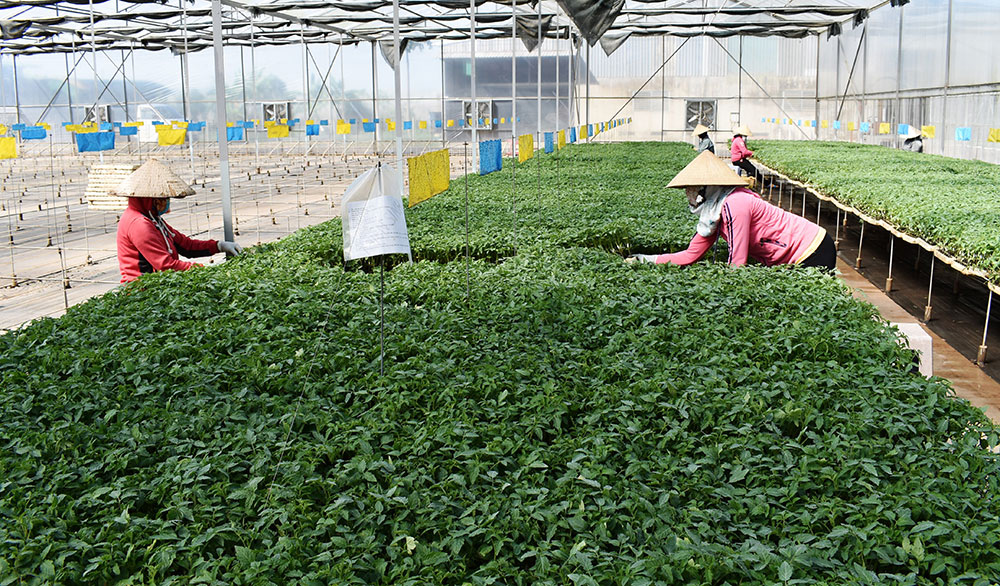 Đi qua &quot;cánh đồng 05&quot; (bài 3)