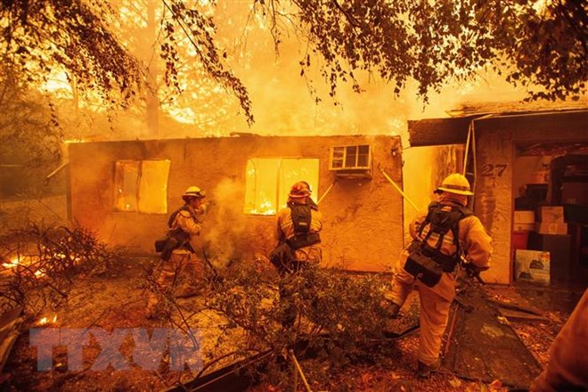 Số người thiệt mạng do cháy rừng tại California tăng lên mức kỷ lục