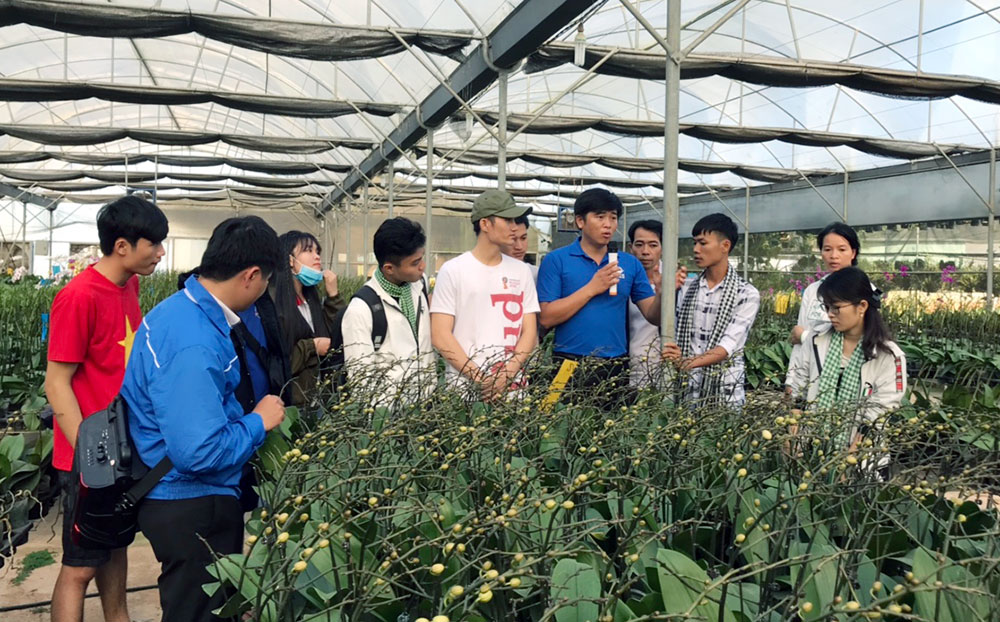 Hướng đi phù hợp với thanh niên