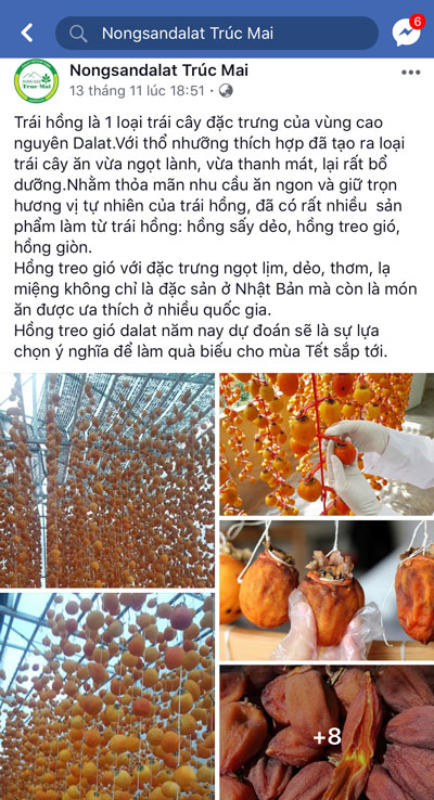 Khởi nghiệp online