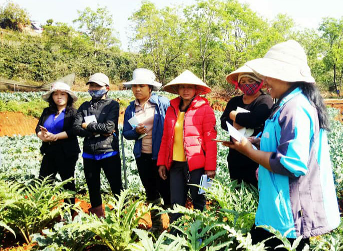 Phụ nữ Ðạ Sar hỗ trợ nhau chuyển đổi cơ cấu cây trồng