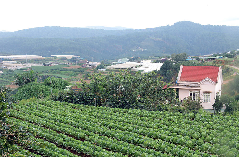 Chính thức vận hành đề án "Làng đô thị xanh"