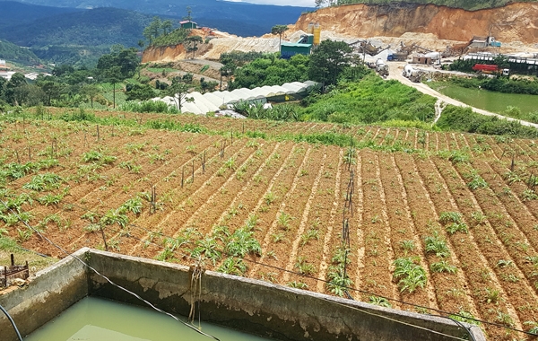 Đà Lạt: Hầu hết các dự án khu dân cư, tái định cư đều chậm tiến độ