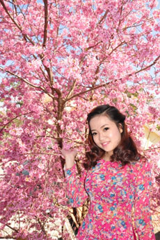Mùa xuân tản mạn về hoa Đà Lạt...