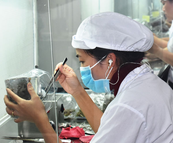 Trong thế giới F1 của Dũng, hầu hết đội ngũ trí thức trẻ là kỹ sư, kỹ thuật viên có tay nghề thuần thục