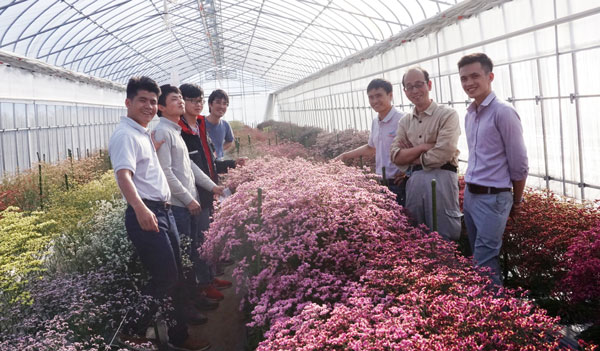Cử nhân Hồ Anh Dũng (đầu tiên bên trái) trong vườn hoa giống F1 Đà Lạt trồng thực nghiệm tại một vùng ngoại ô Tokyo, Nhật Bản