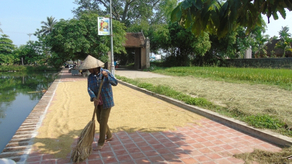 Một ngày ở Đường Lâm