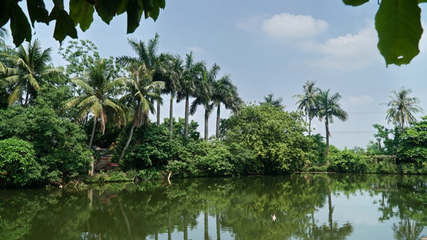 Quang cảnh êm đềm và yên ả ở Kẻ Mía - Đường Lâm