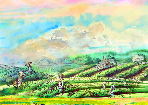 Cổ tích trên đồi chè